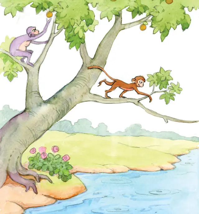 Illustration for A Little Monkey and a Fish